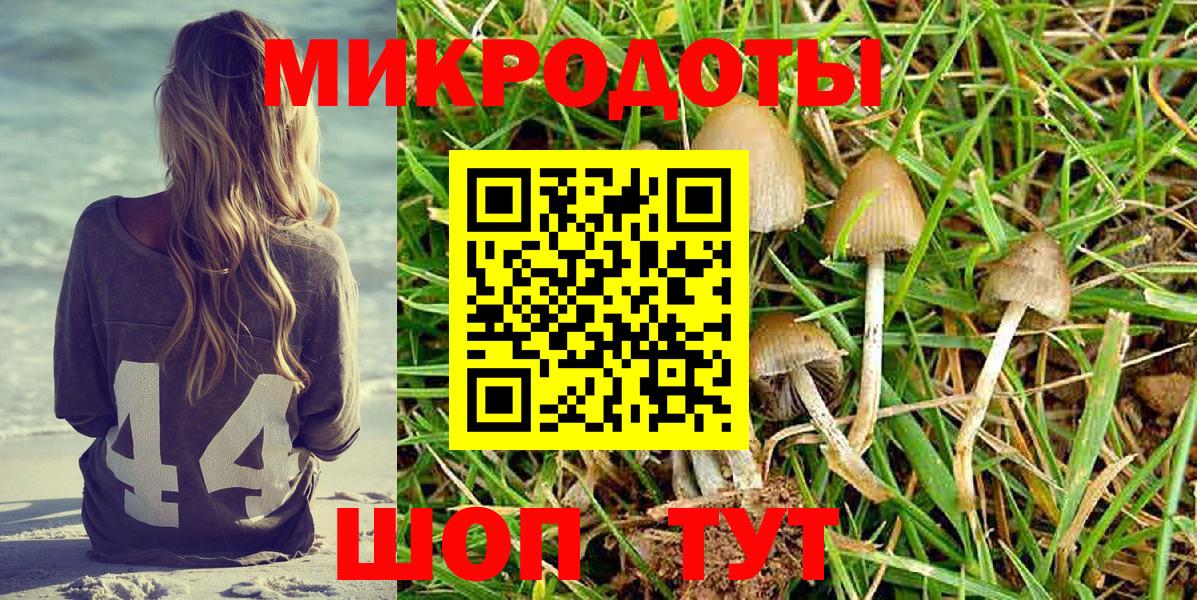 Псилоцибиновые грибы MAGIC MUSHROOMS Алапаевск